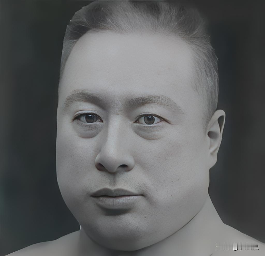 1931年九一八事变后，辽吉两省接连沦陷，日伪军裹挟汉奸张海鹏部一路北进，直逼黑