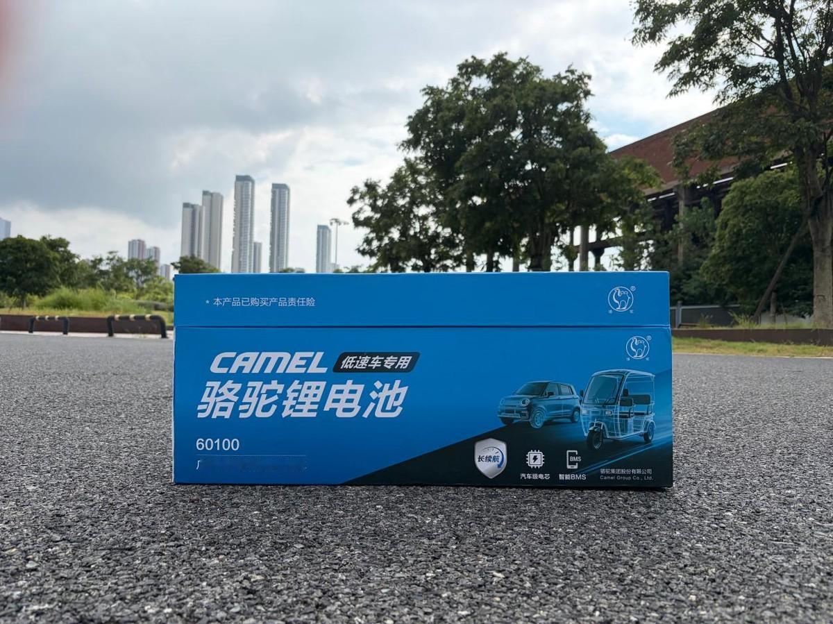 低速电动车锂电池哪家强？2026产品实力排行榜公布
一款真正成熟的低速车锂电，不