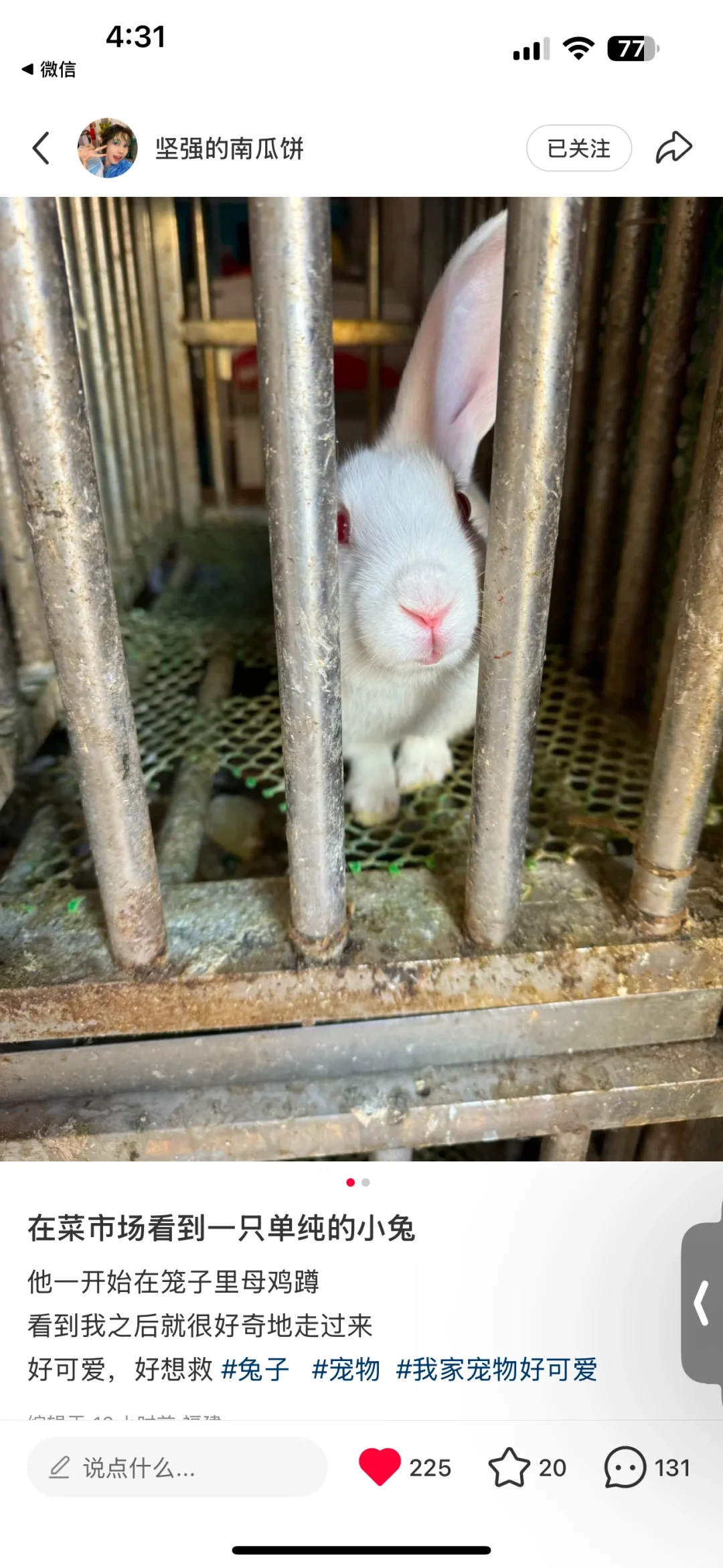 福建兔兔求助