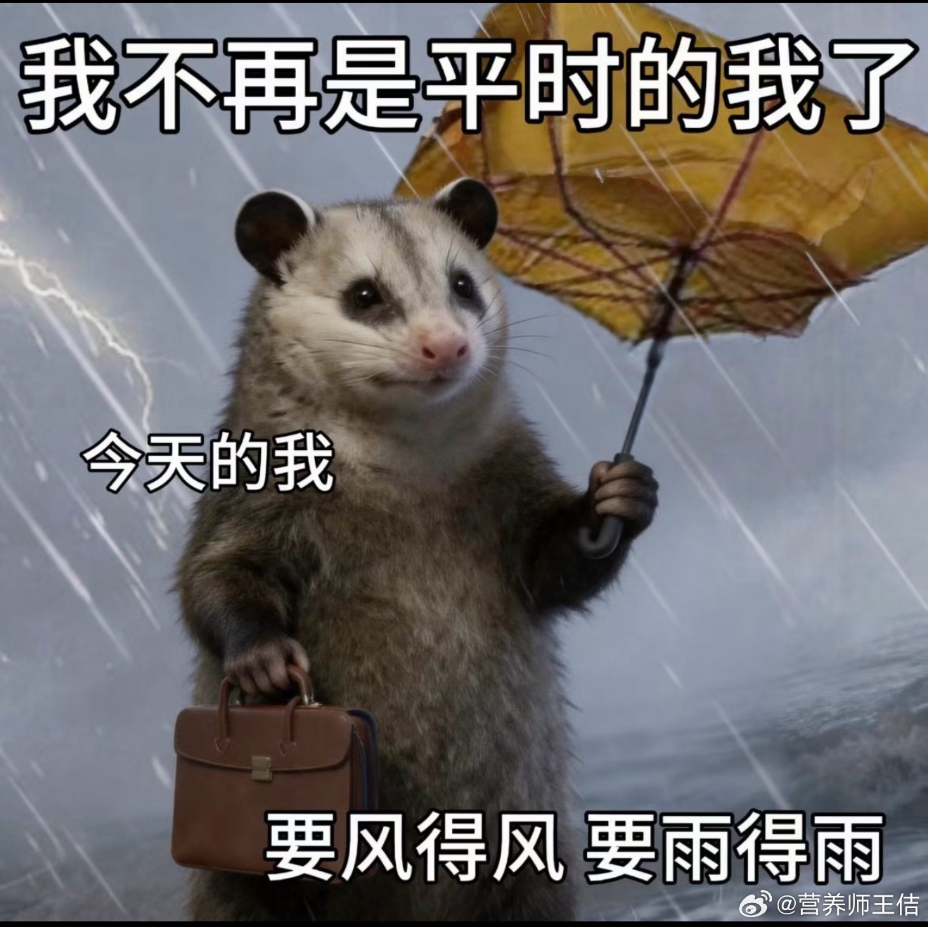 怎么还在暴雨！我感觉我心心念念的本地黄桃、晴王和梨子估计都得完蛋了！ 