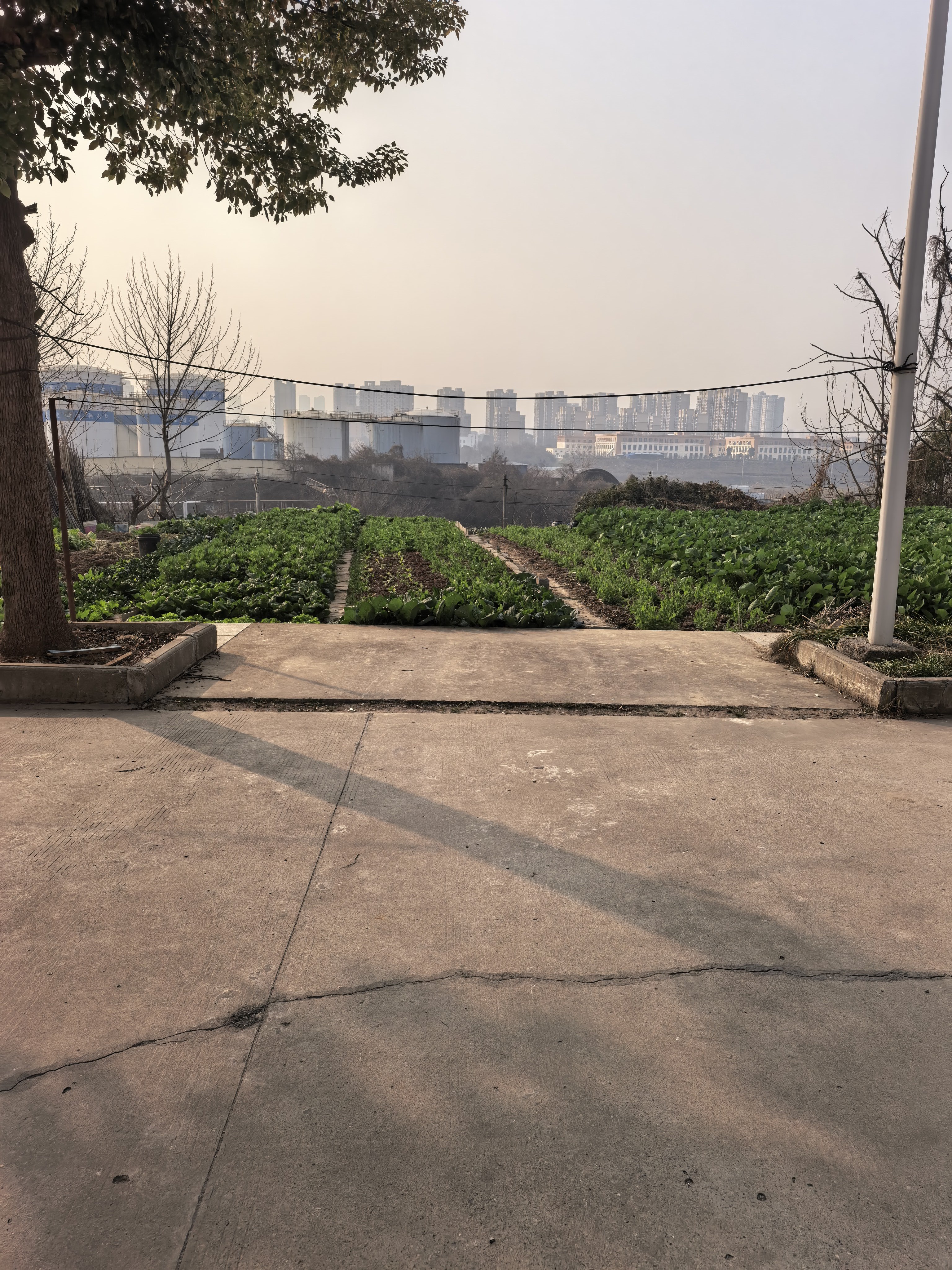 突然发现自己最近心都玩野了！我并不想这样的！我只想好好上班的呀！感冒好了天气好了