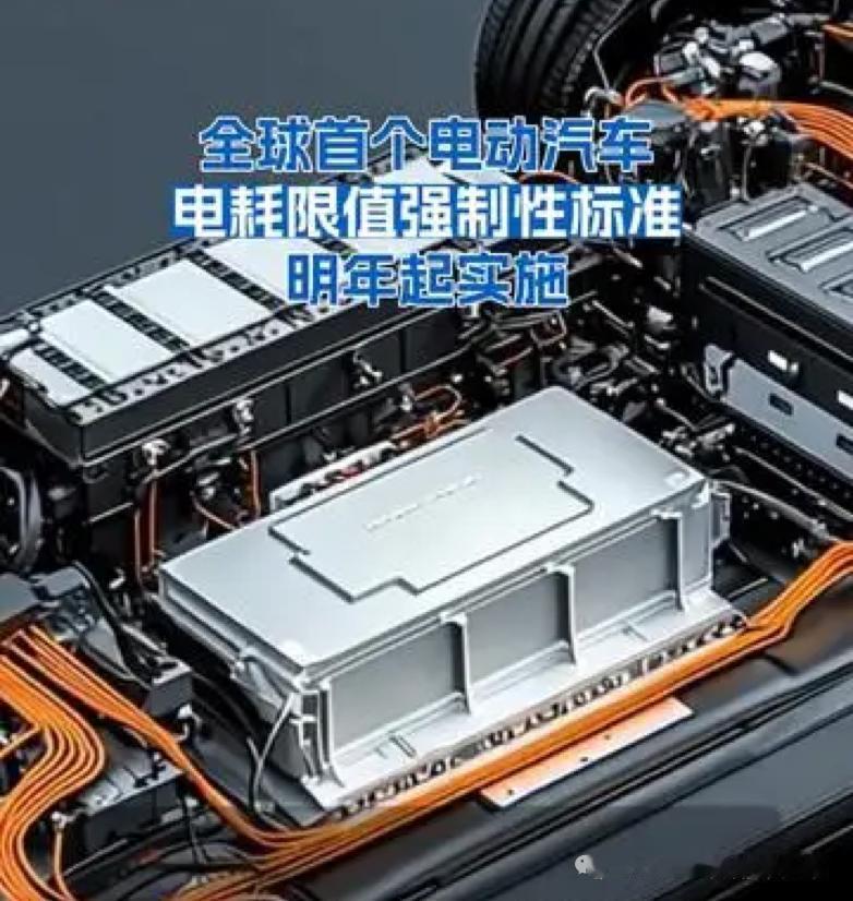 全球首个电动汽车电耗限值强制性标准明年起实施

《电动汽车能量消耗量限制 第1部