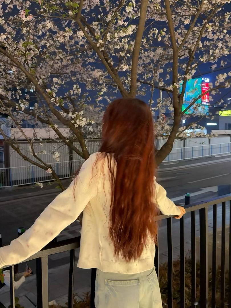 夜樱🌸 