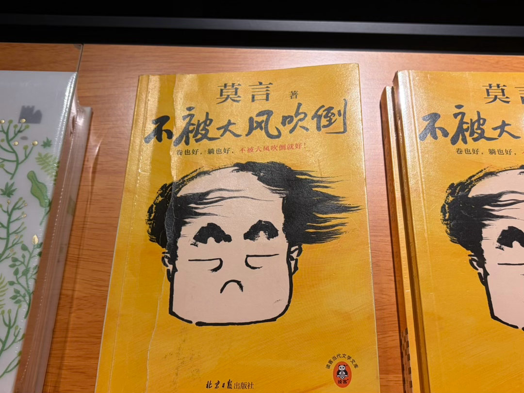 这个大风太坏了 