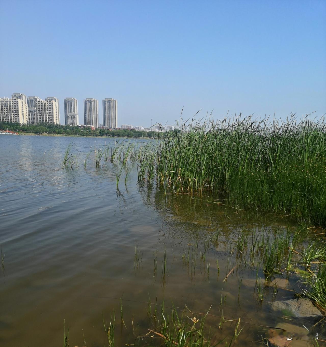 有一种小虫，生性贪恋，凡事不愿舍弃。
沿路遇见任何杂物，都会全部背在身上，一路捡