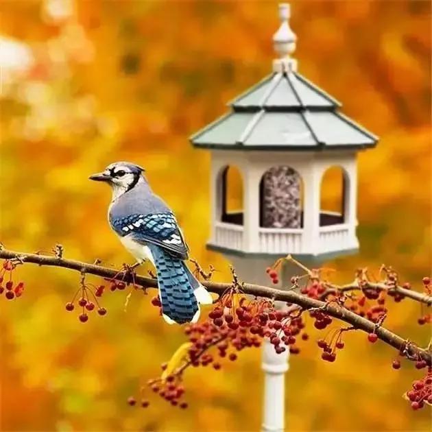 今天，明天，后天，哪一天最重要哪一天都很重要，今天是希望，明天是期望，后天是展望