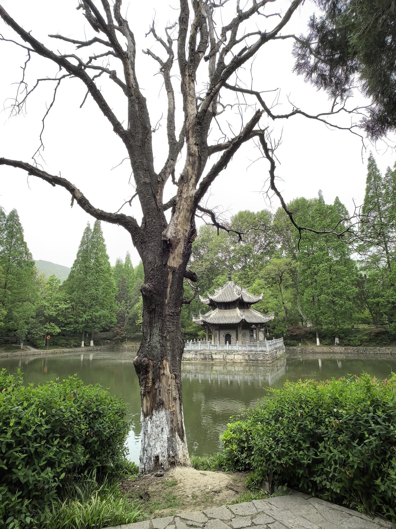 4月20号，游襄阳习家池。习家池号称中国郊野园林第一，景观设计道法自然，巧融人工