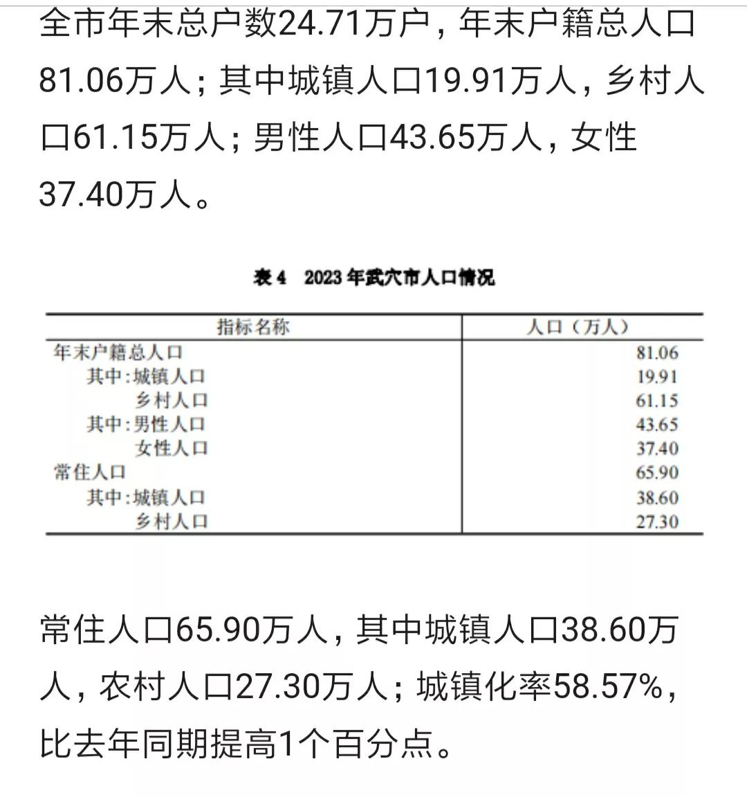 黄冈武穴市公布2023年常住人口和户籍人口数据
去年全市常住人口65.9万人，一
