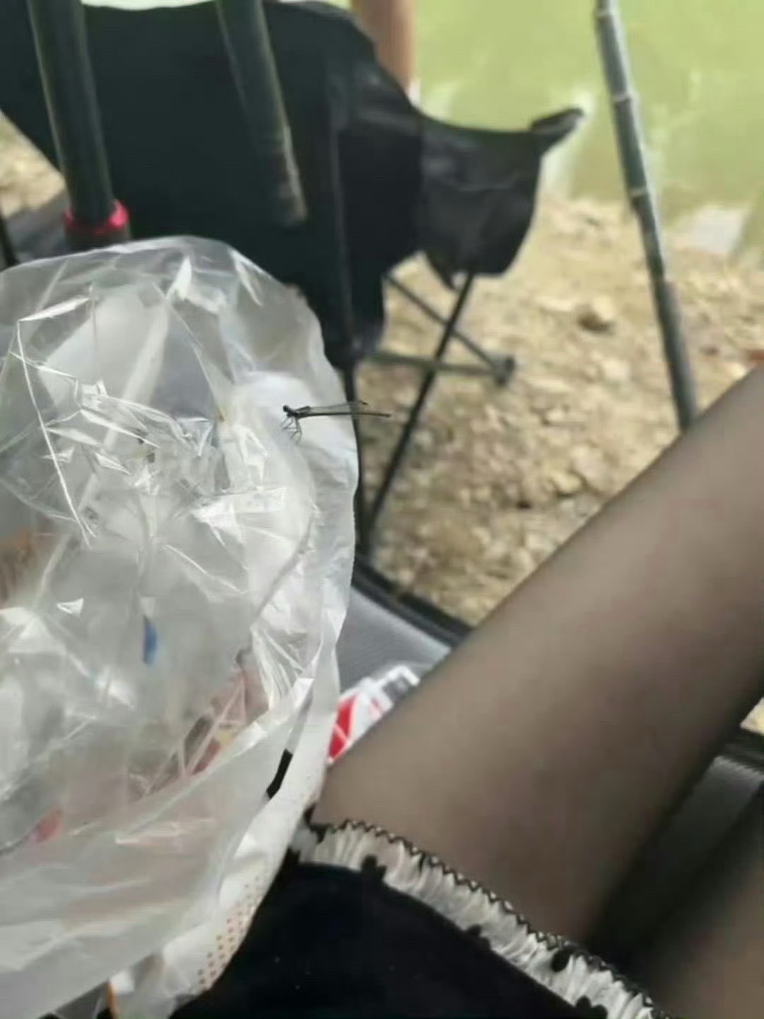 这么好的荒郊野外居然用来钓鱼[微笑]  ​ ​​​