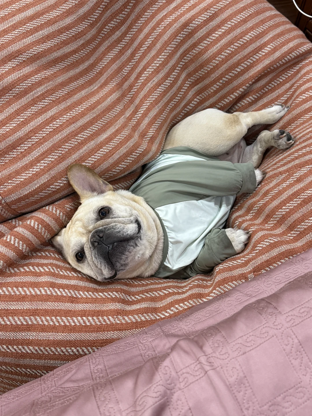 早安♥️