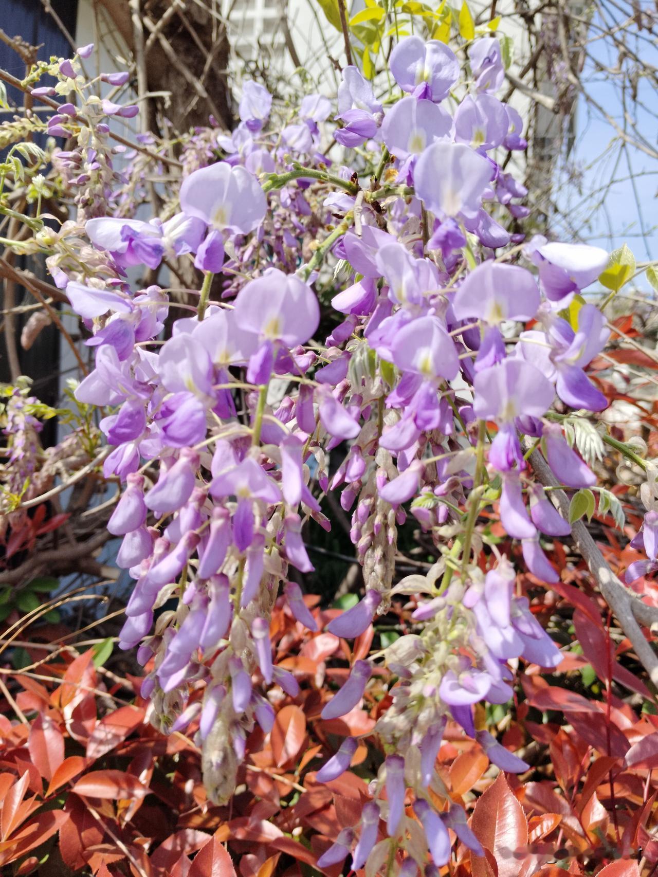 78岁老人的一场生死梦，听哭无数人：这才是爱情最美的模样
听完这位78岁老人讲述