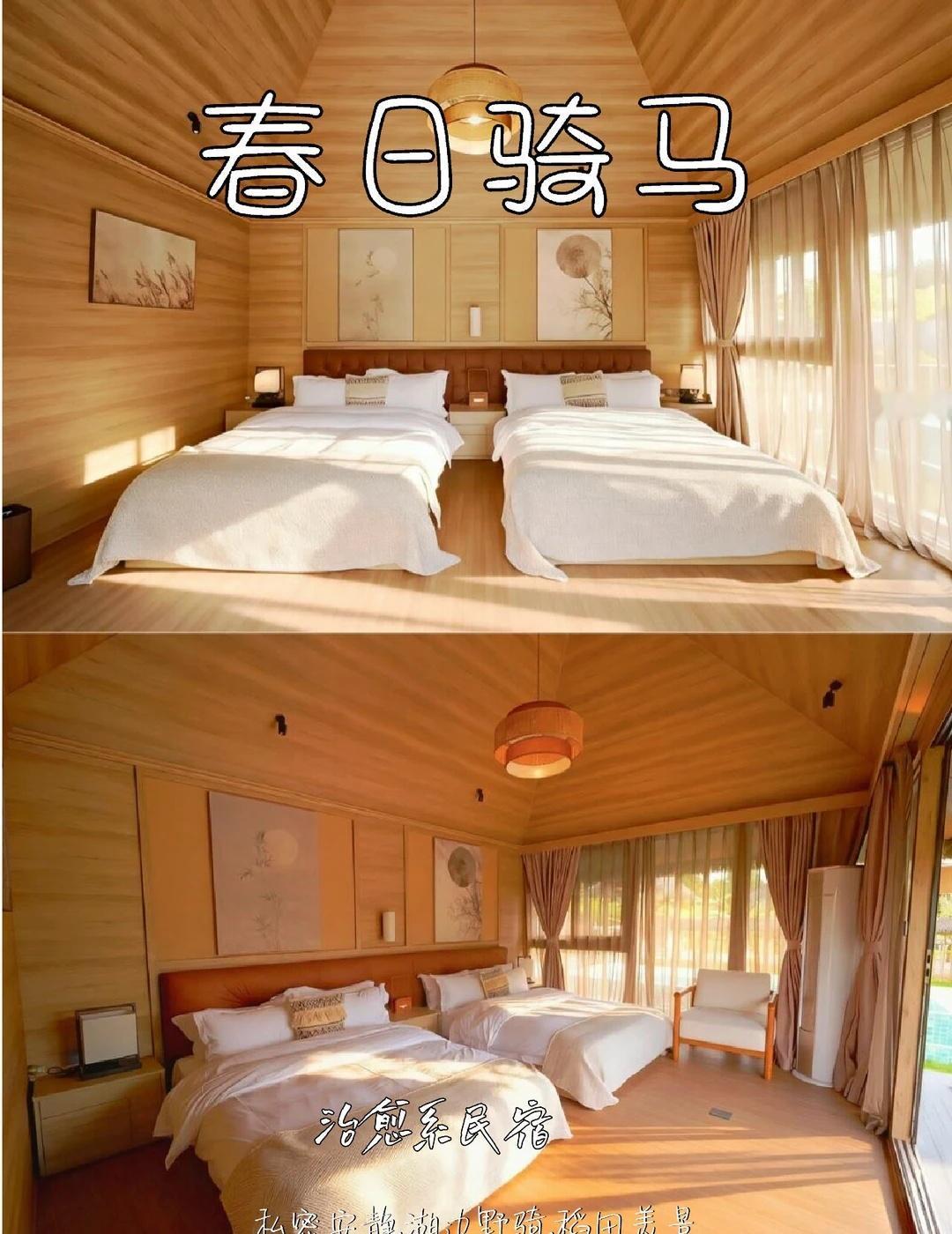 广州骑马首选｜躲进春天里🌿
在广州待久了，总想找个地方，
把日子过慢一点。
黄