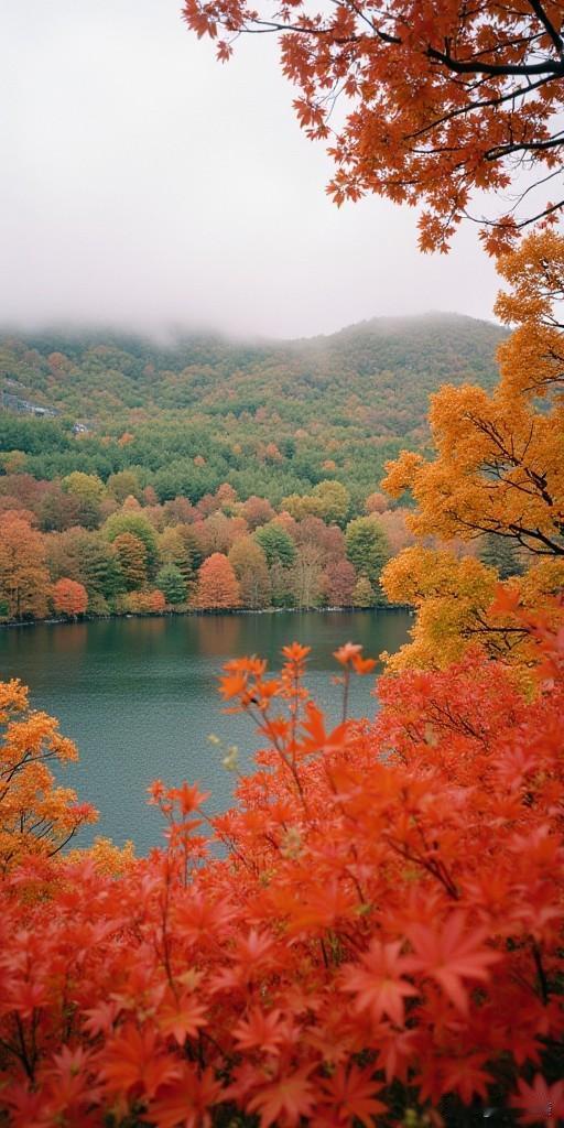 🍂秋意浓时，山水林间尽是斑斓。红枫似火，湖光山色如画，这限定的秋日浪漫，谁看了