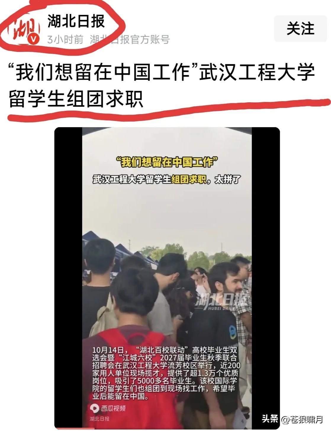 网友感谢“湖北日报”:让我们知道有那么多“黑的棕的”留学生，在中国高校毕业后不想