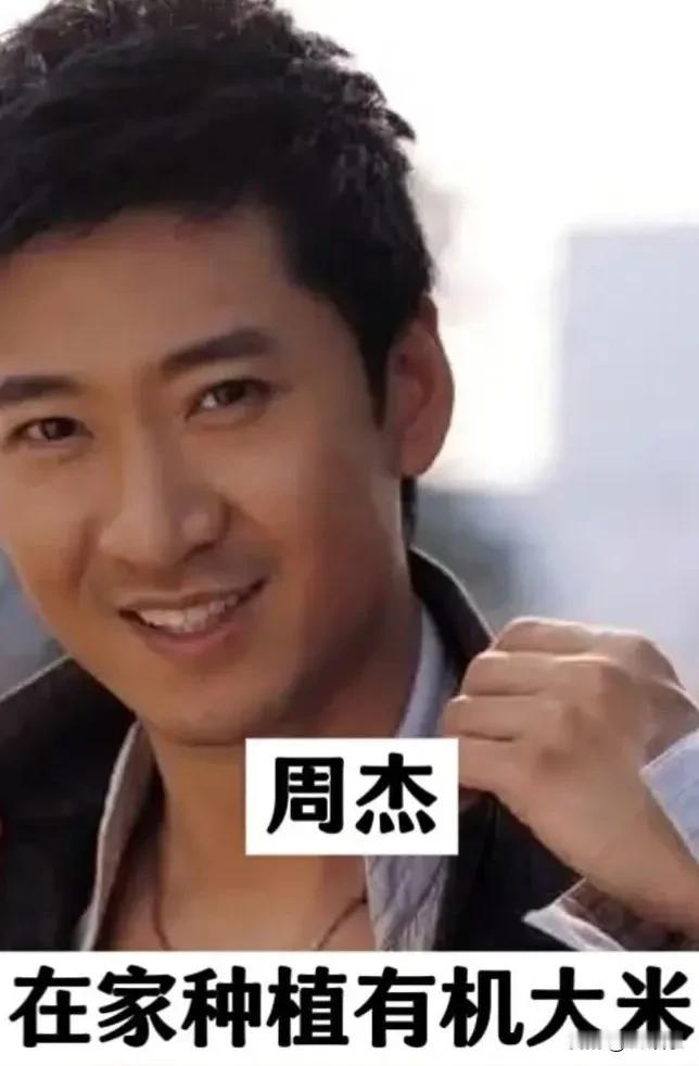 回农村发展明星，哪位最成功呢?[赞][赞][赞][赞][碰拳][碰拳][碰拳][