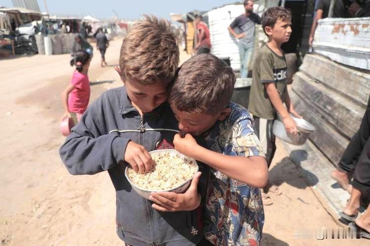 印度和加沙有什么交情吗？
怎么能收到如此重要的邀请，感觉不可理解。
有知道的朋友