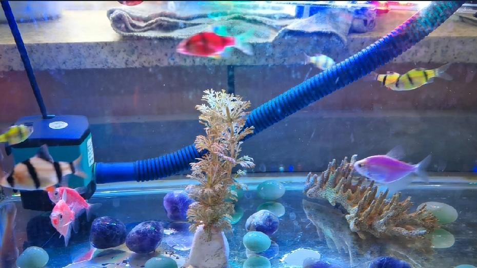 你敢信？说出来挺扎心的！我虽然有点儿想家，但还是不想回家过年，因为那过得不是年，