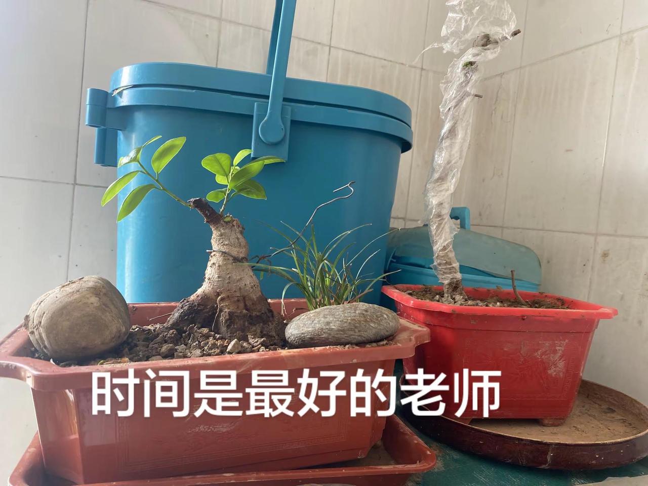 别急，慢一点，让时间慢慢证明一切