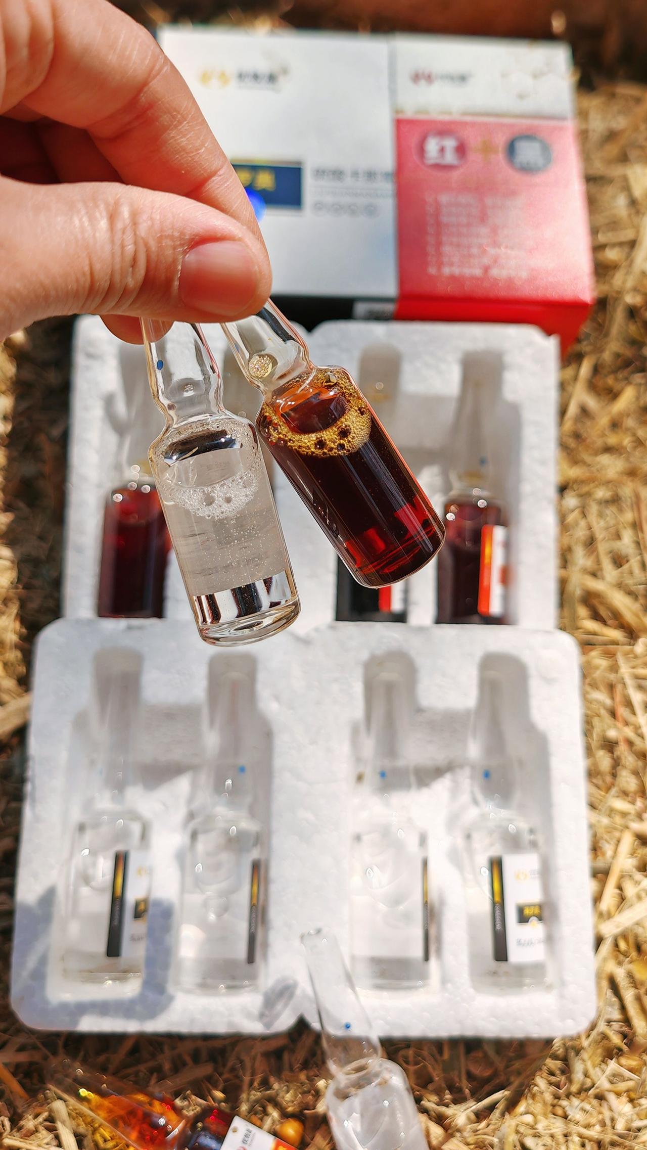 养羊人 农村养羊 牛羊养殖