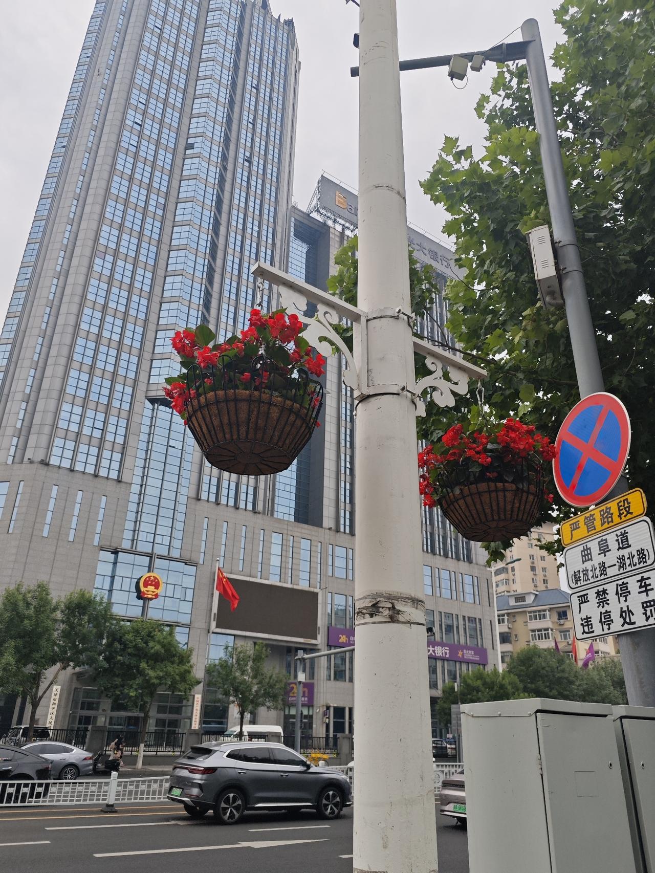 天津街道两旁鲜花盛开，空气清新，环境优美，车水马龙，来天津旅游的宾客如云，每来到