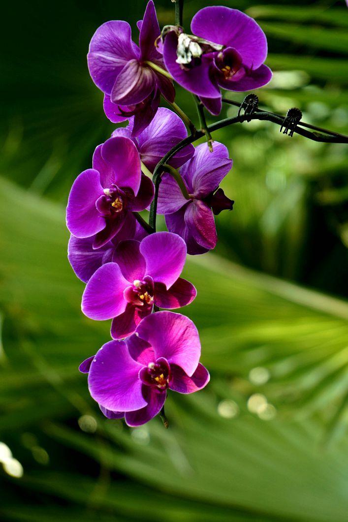 下联：美好时光记忆中。