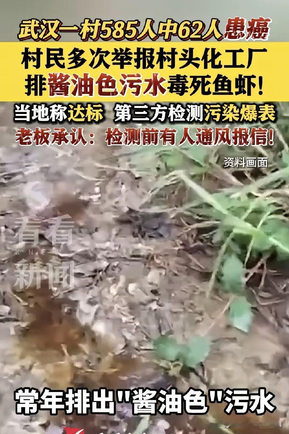 武汉“癌症村”仅2015年以来就有34人患病。最近这11年，已经有19人去世，1