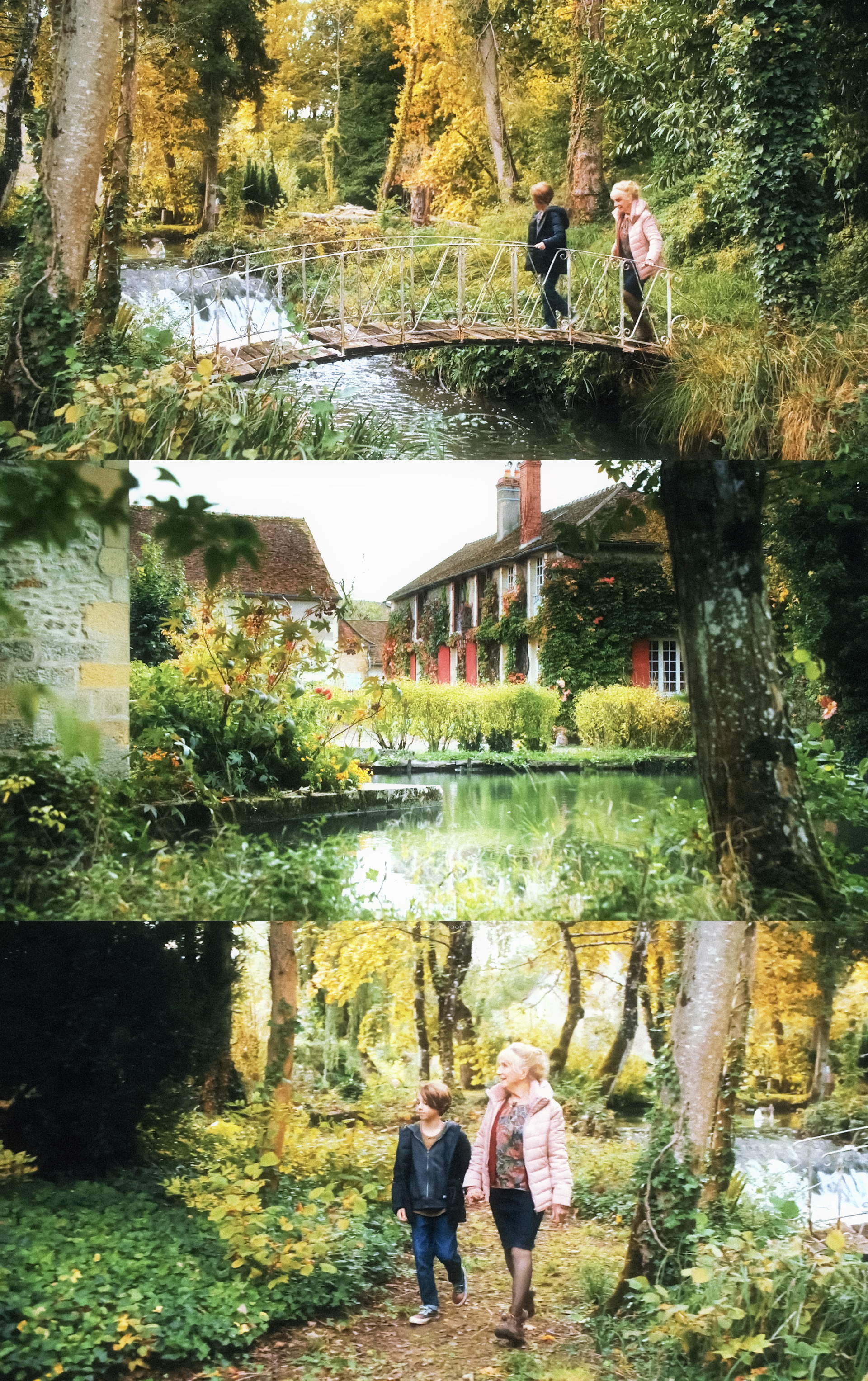 🎞️秋日何时来 (2024)风景特别美丽，温情又带点伤感的氛围，一开始以为是文