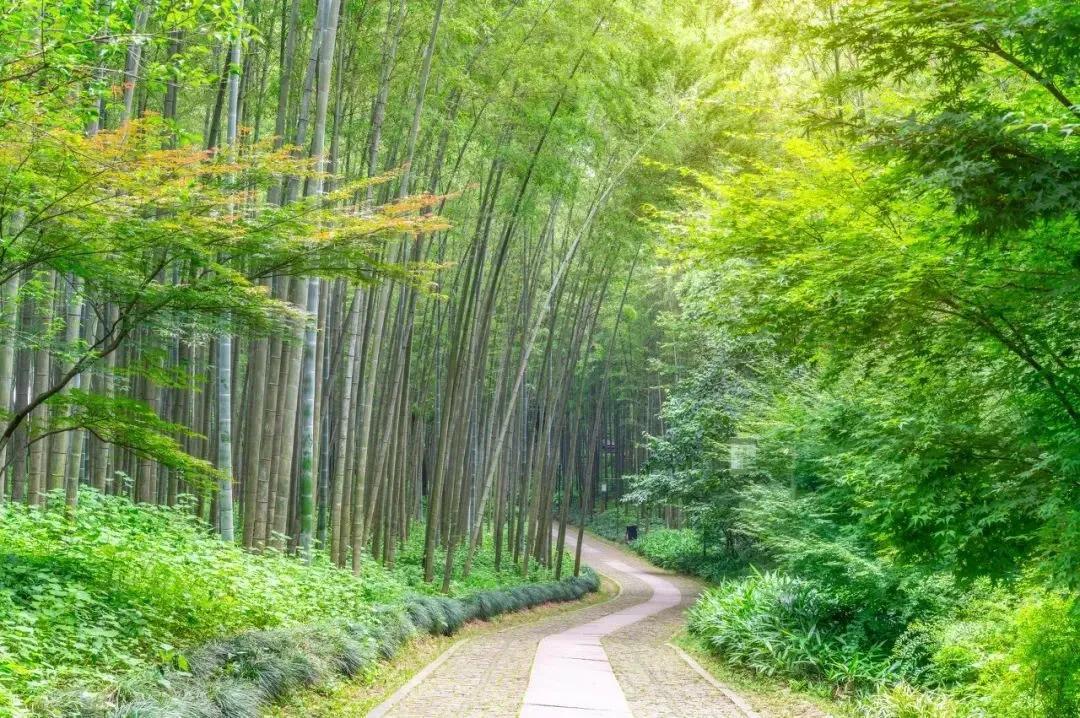 安吉一季度财政增长稳定！

安吉一季度全县地方财政收入完成24.68亿元，同比增