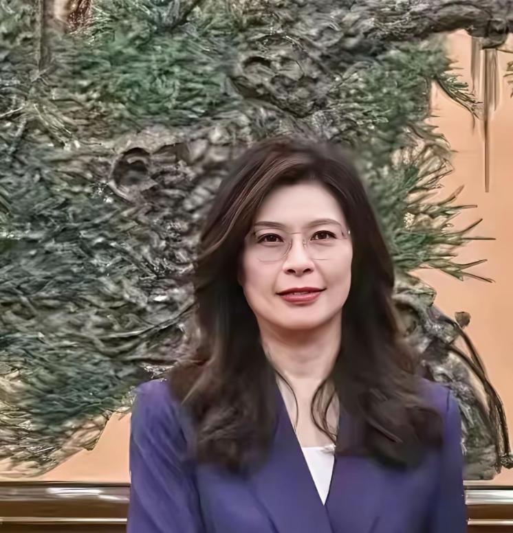 瞒不住了！郑丽文访陆，台湾县市长集体发声，蒋万安、侯友宜、张善政态度太真实！
 