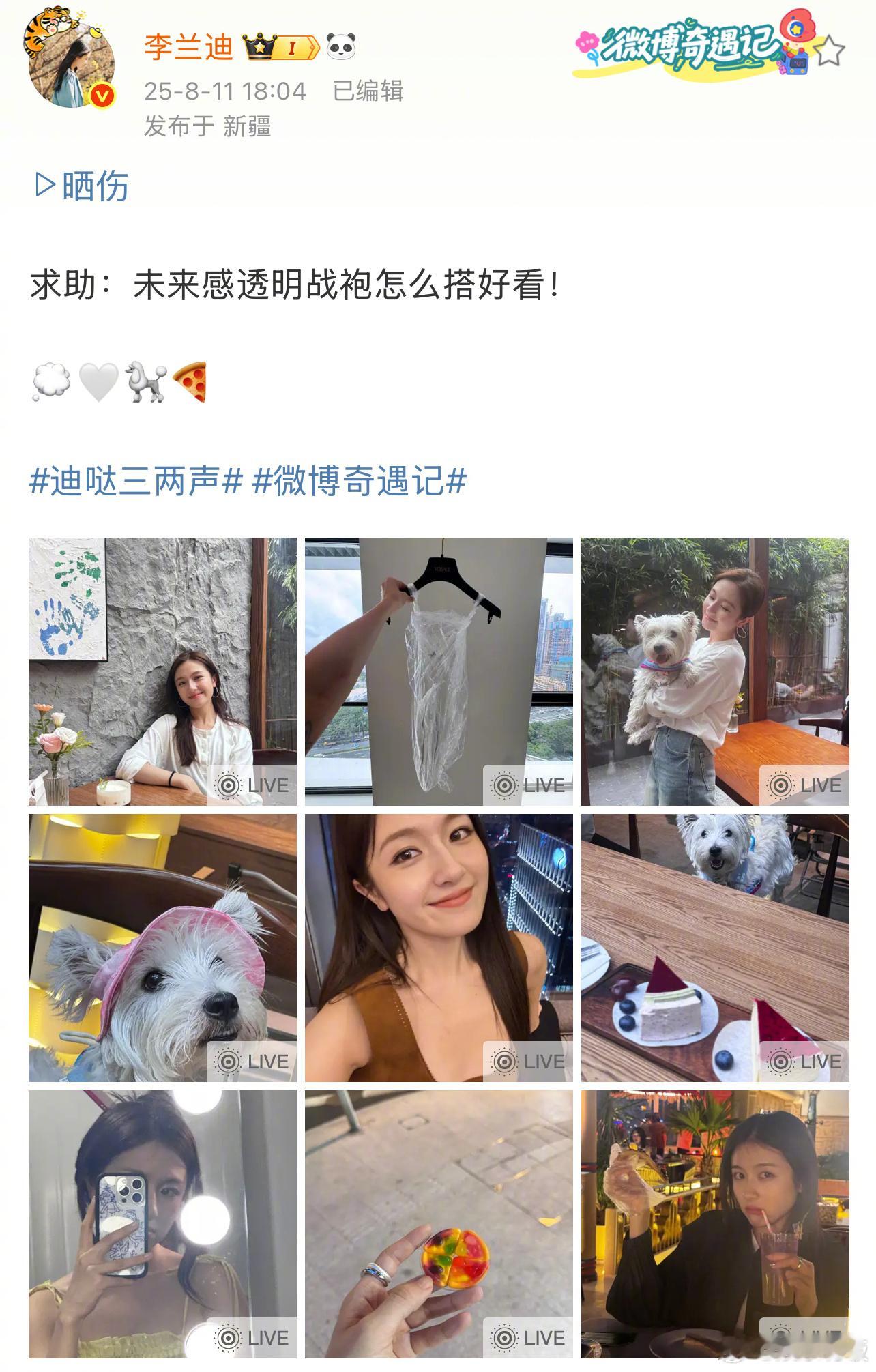 李兰迪的战袍含塑料量百分百李兰迪用梳子簪发 谁来懂一下的未来感透明战袍[doge