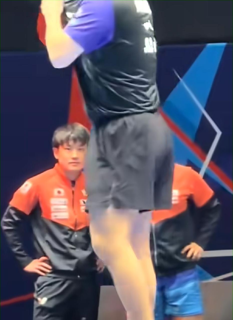 我敢说，日本队这三人，三个心眼子，劲儿就是不往一处使，简直太逗了！

少爷：敌人