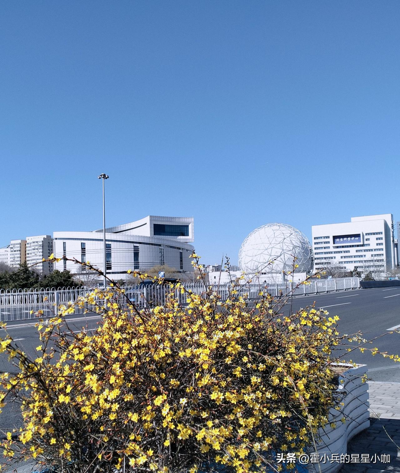 在北京你最喜欢去的公园是哪个北京花粉问题何时可以得到治理？