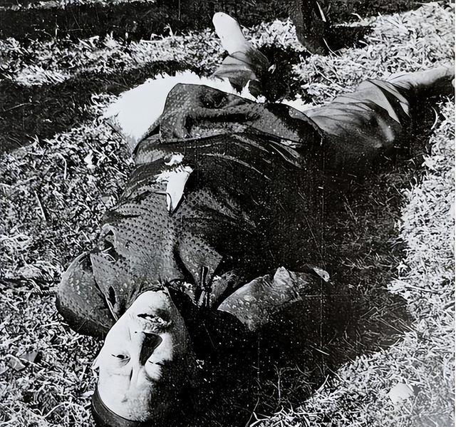 1937年抗日战争全面爆发，华北沦陷。在日军铁蹄之下，旧军阀的脊梁，竟在权势的诱