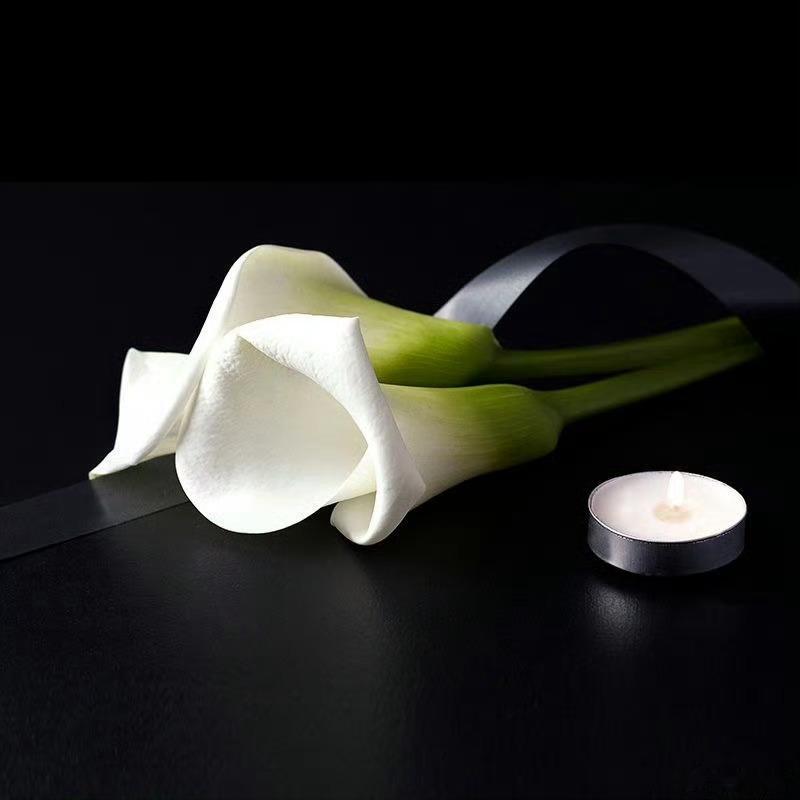 【沉痛悼念】得悉飞虎队一名高级督察日前在遴选测试期间失去知觉，经送院救治后，今晚