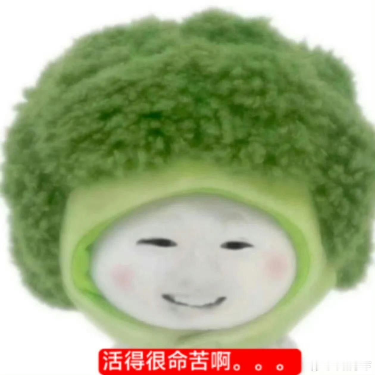 我发现其实最辣鸡的明星体质不是红黑俱灭，而是只能吃黑流，大家只在审判他们的时候欲