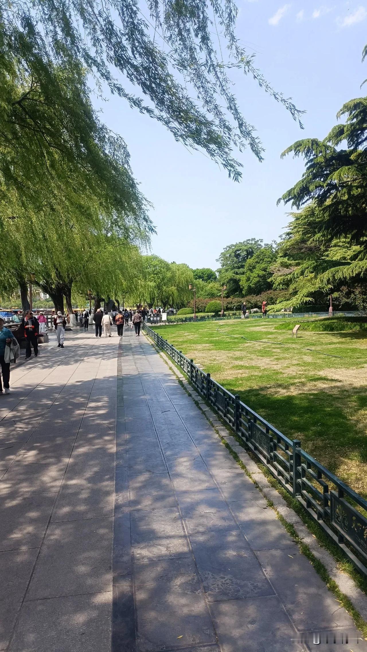 暮春柳
 
苍山春暮锁残霞，明湖垂柳落烟花。
伊人牵肠萦别绪，柔思携恨逐年华。