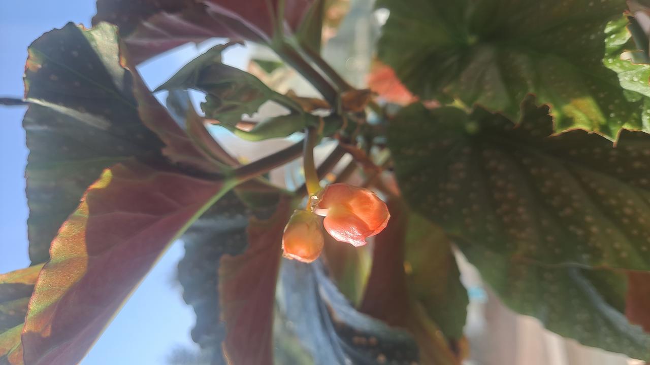 用心用情用功唱歌，有人情味，接地气，不掩饰自己，唱的愉快，轻松，用歌声传达亲爱的