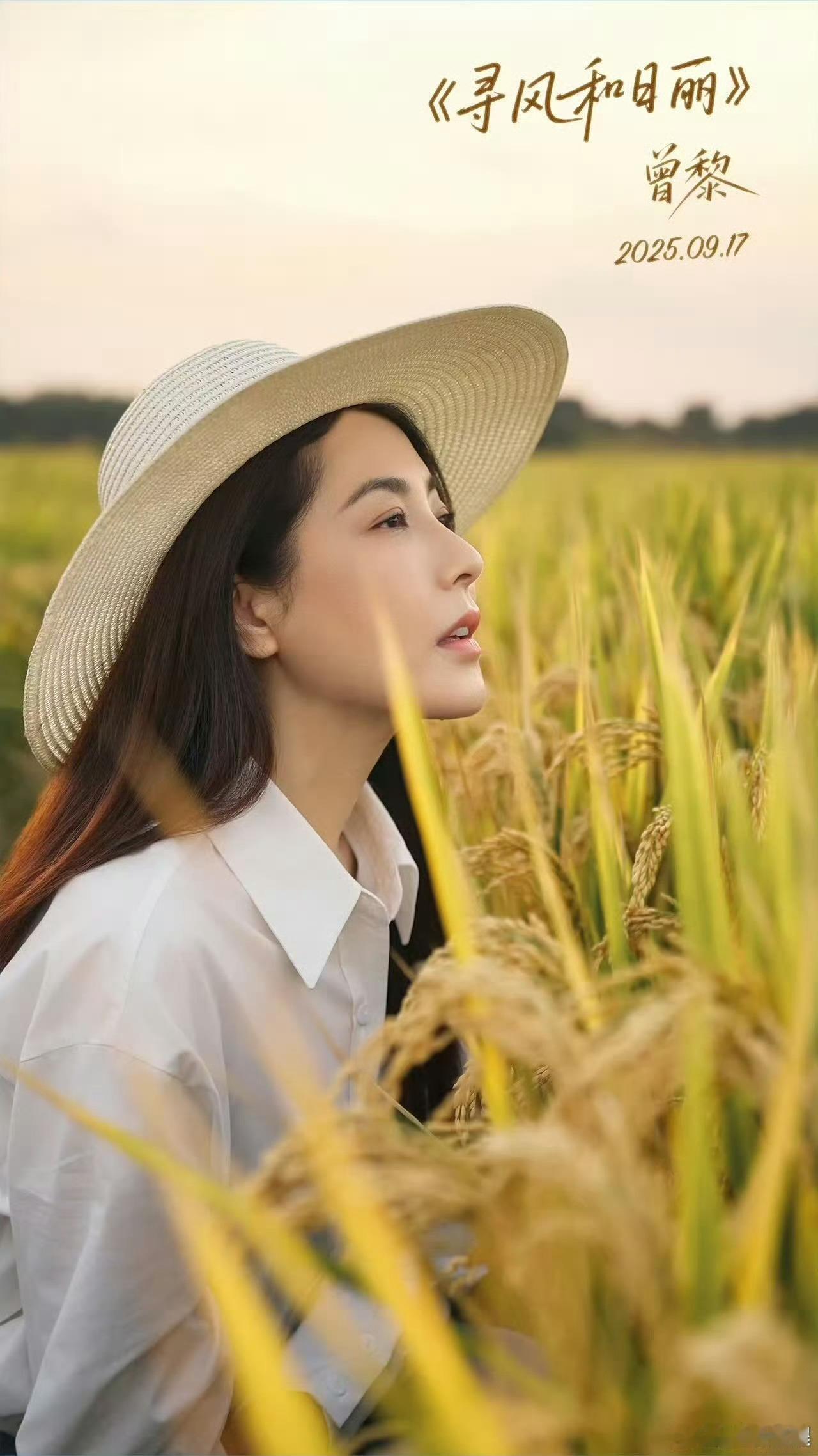 曾黎寻风和日丽健康美标杆气血充足的美太真实！麦田里不刻意的精致，新歌里的阳光感，