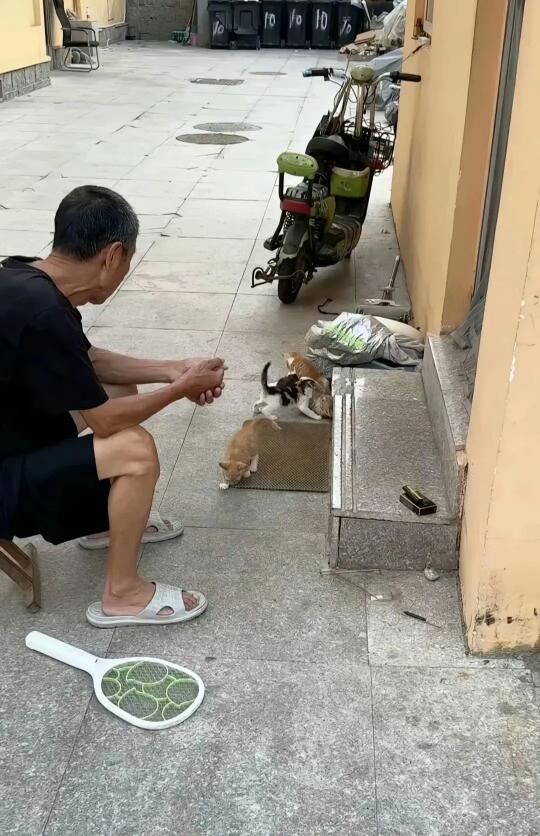 2025年了网传青岛大学不装空调热死了大爷