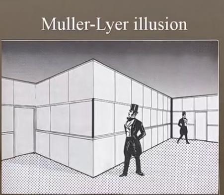 眼见不一定为实，比如下图黑色的竖线一样高吗？