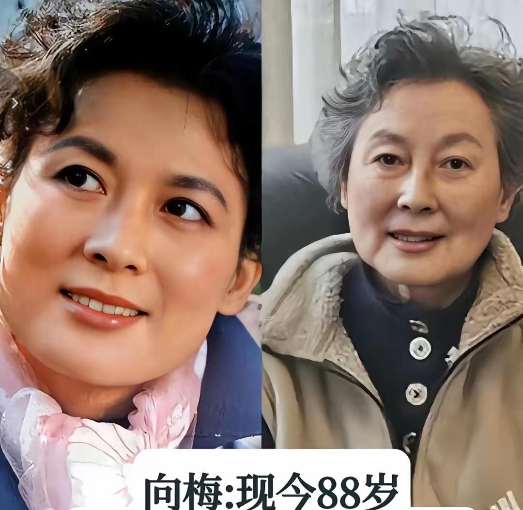 老戏骨演员向梅
老戏骨演员刘晓庆
老戏骨演员茹萍
三位老戏骨演员，童年的回忆，有