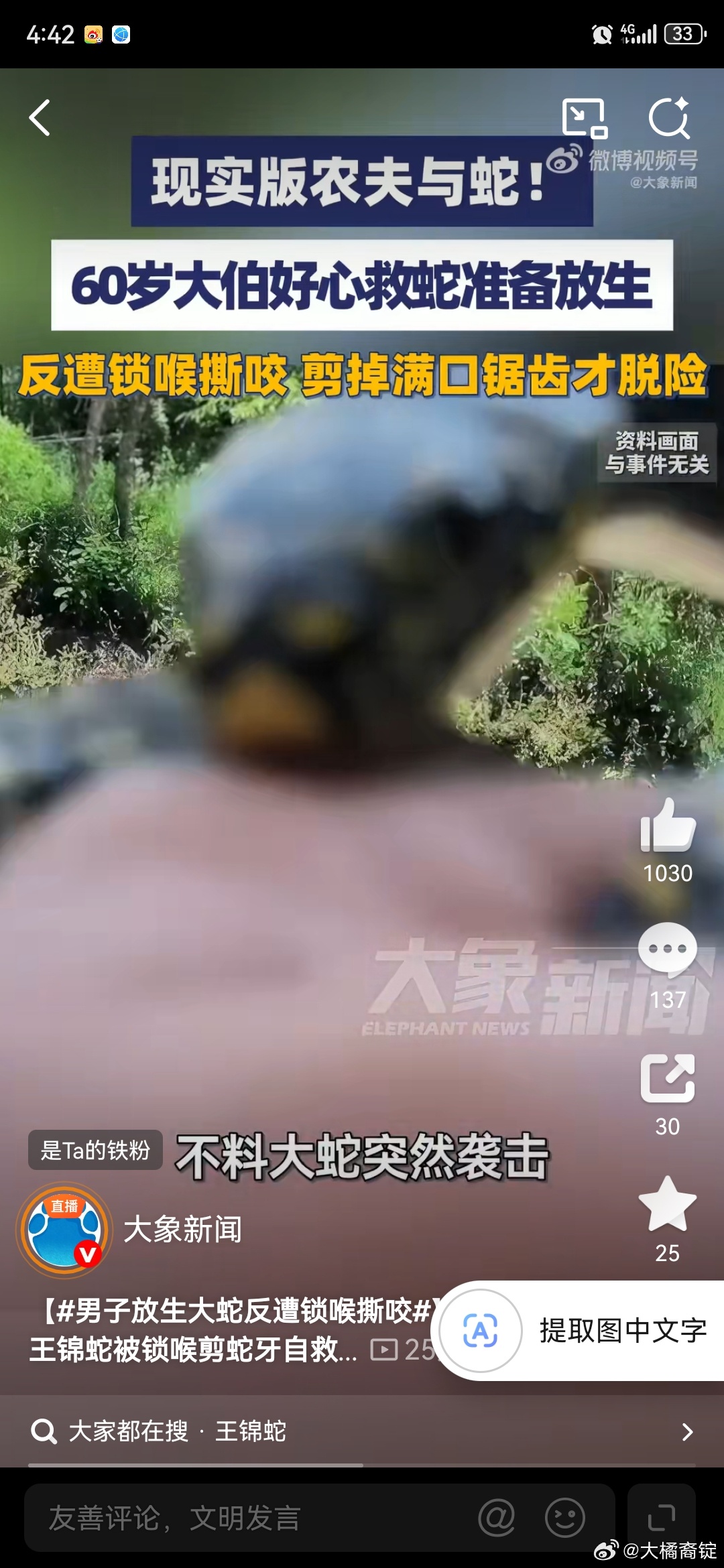 真实版农夫与蛇男子救王锦蛇被锁喉剪蛇牙自救【男子放生大蛇反遭锁喉撕咬】浙江温州梁