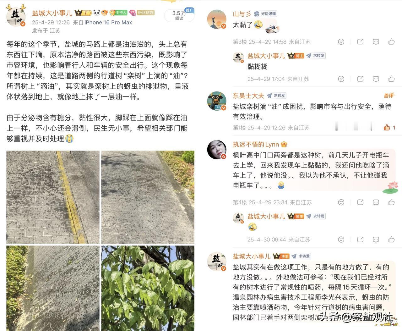 【盐城这个季节有两样东西躲不掉:柳絮和树胶。谁赞同，谁反对?】我说盐城春天有两样