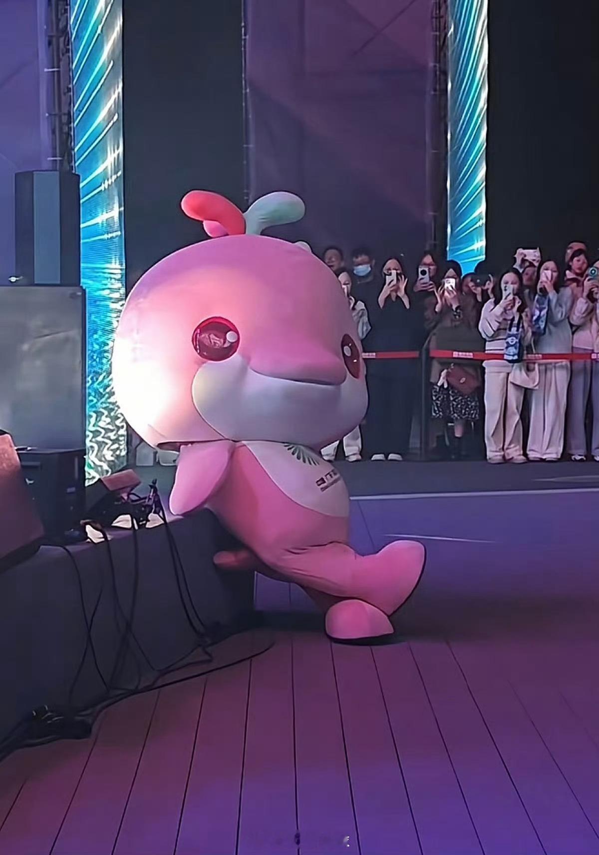 萌萌呆呆的大湾鸡🐔 