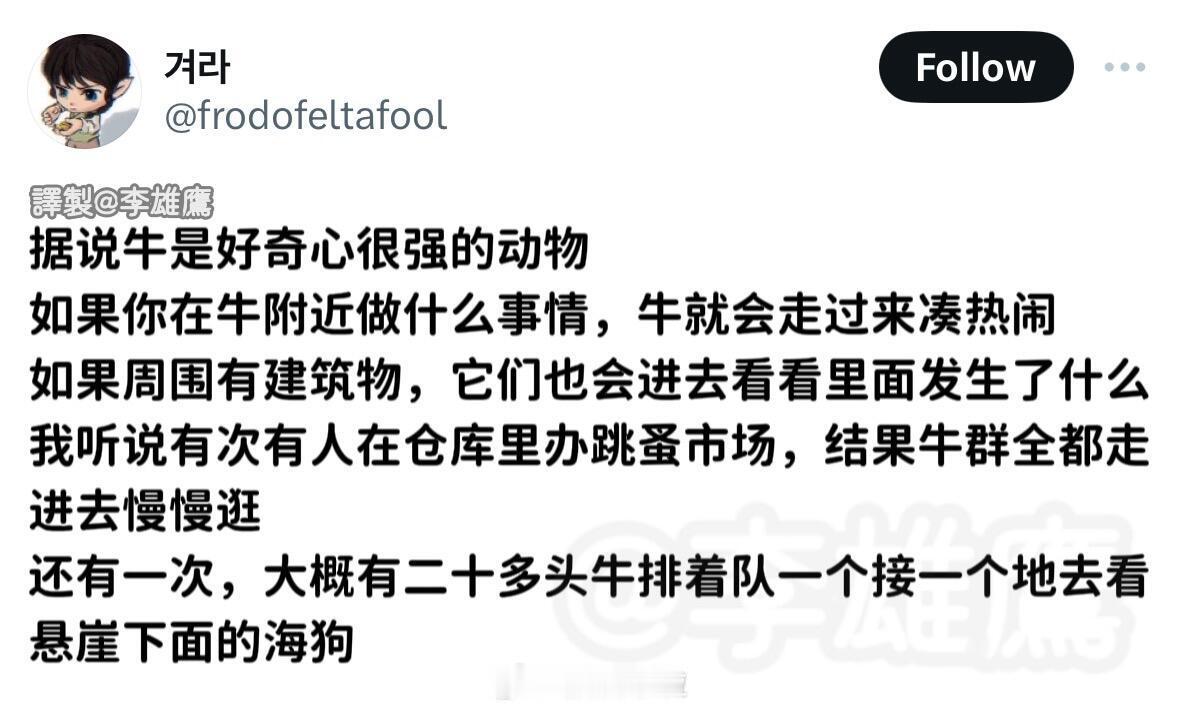 好奇心很强的小动物 ​​​