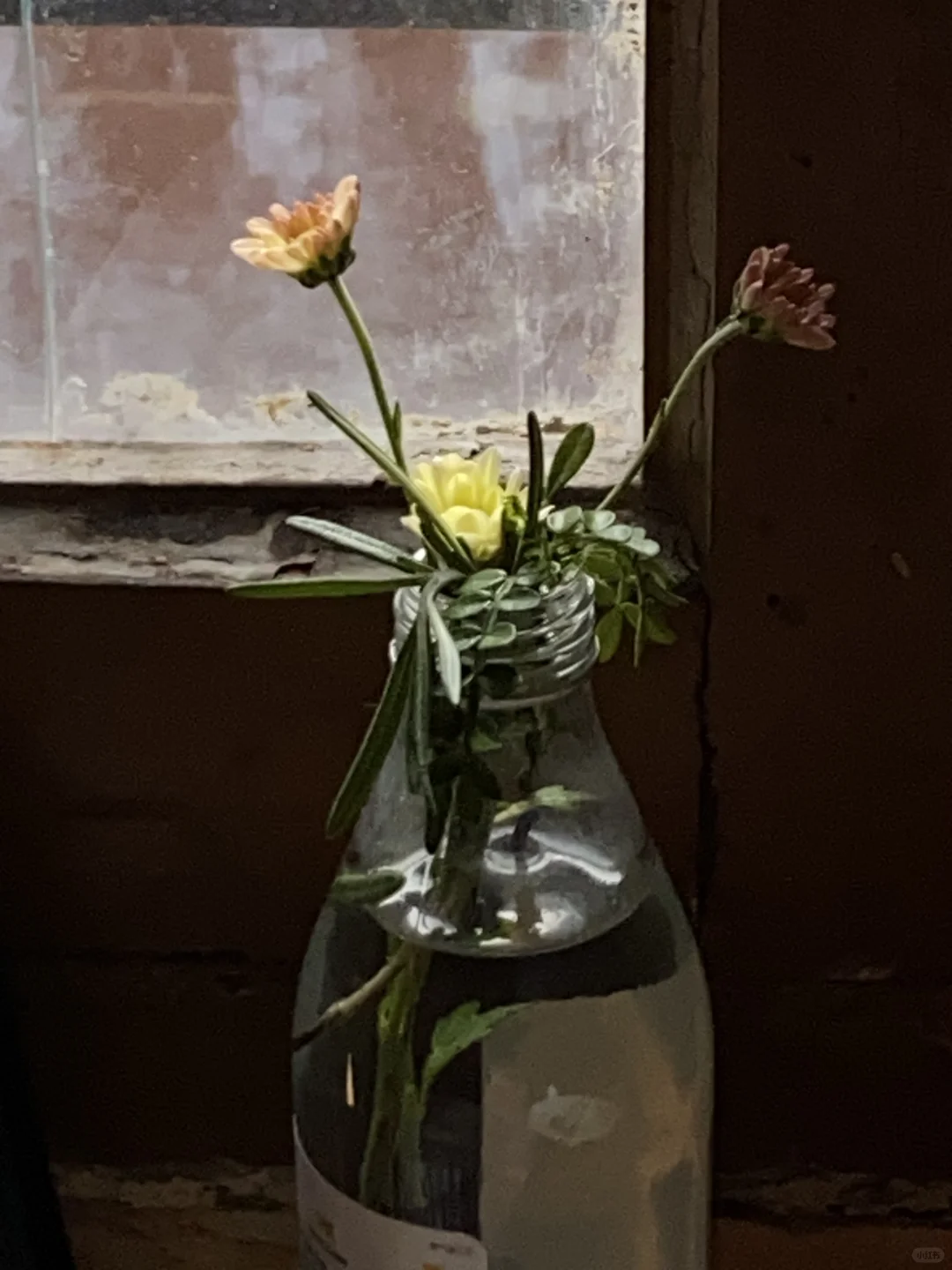 💐鲜花小品 ｜ 真的很知否！！！