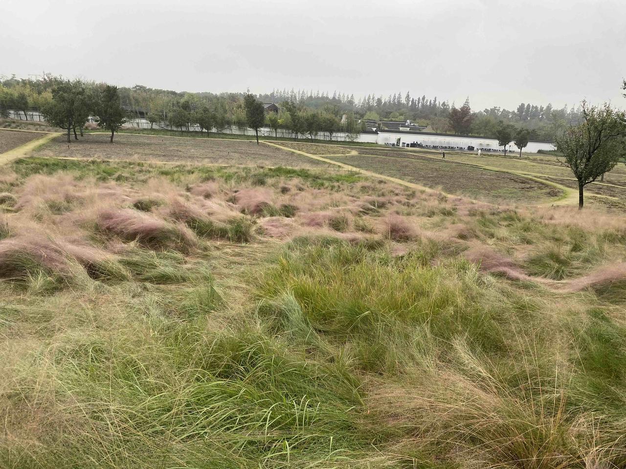 写头条，与其研究别人的成功，不如坚持做好自己。

半夜被二宝吵醒，起来给他泡了奶