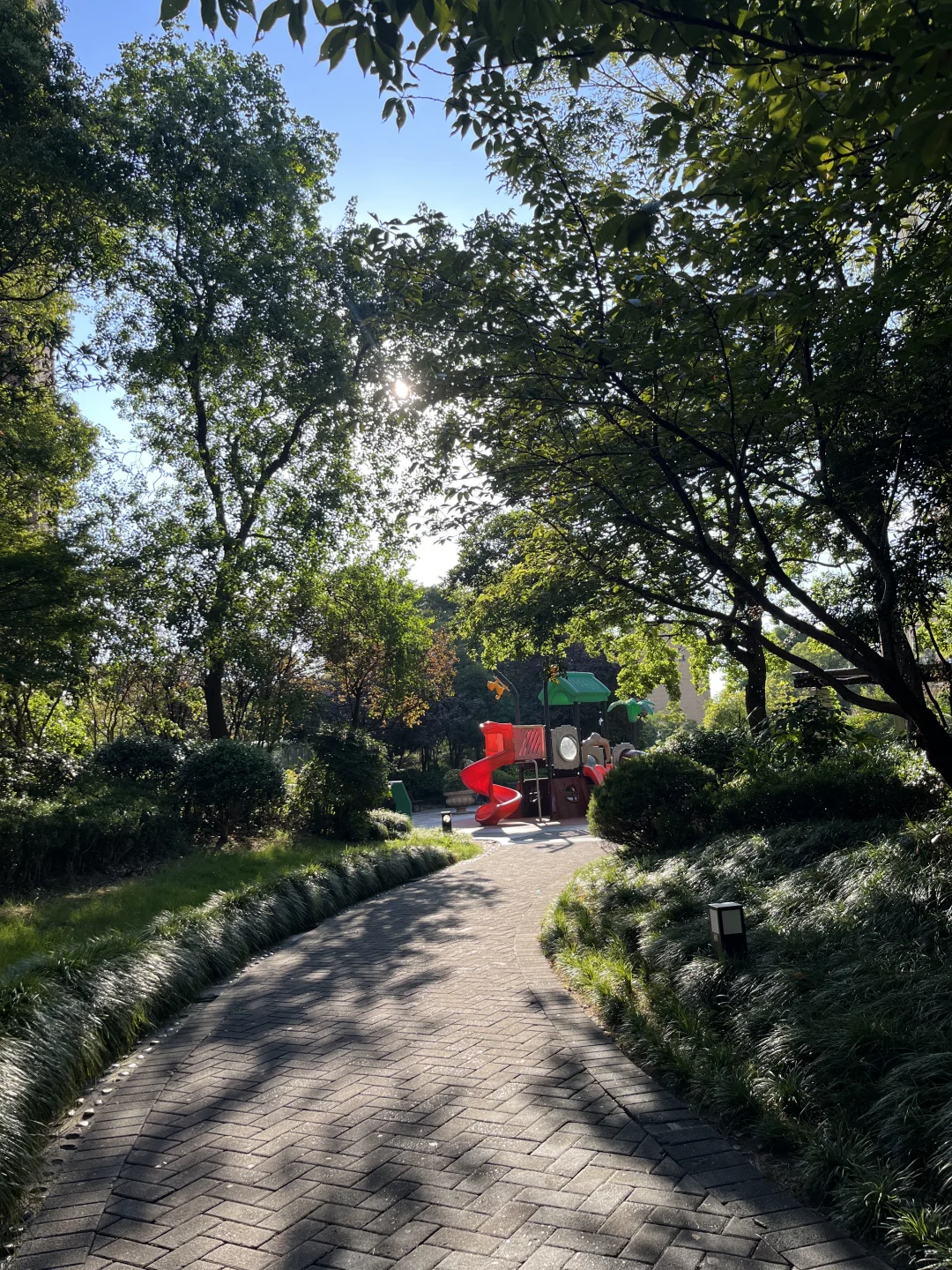 来对了！遛娃好去处🌲