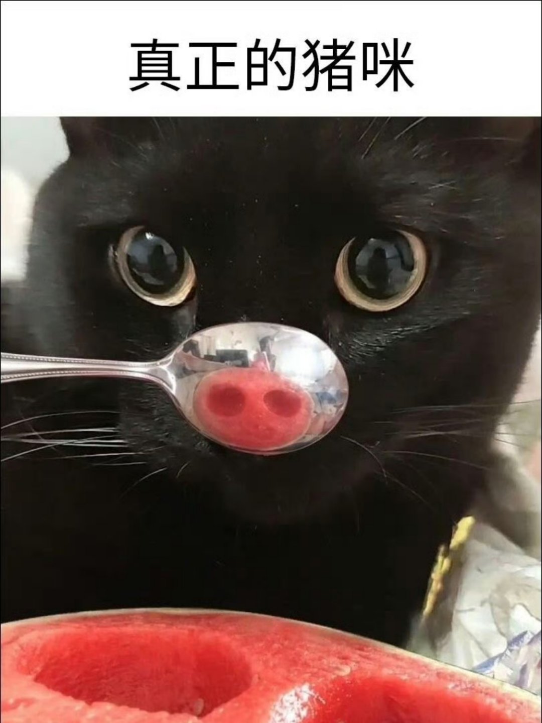 萌呀 ​​​