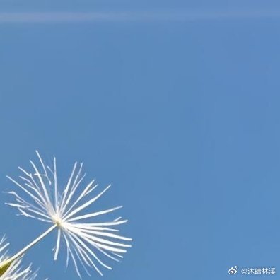 - 握不住的流沙就扬了它，放下是对自己的宽容；心里藏着小星辰，日子才会亮晶晶。-